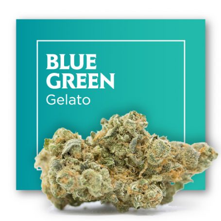 Flores de CBD Cannabis BLUE GREEN (Gelato) – INDOOR. 2g