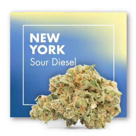 Flores de CBD Cannabis NEW YORK (Sour Diesel CBD) – INDOOR. 2g